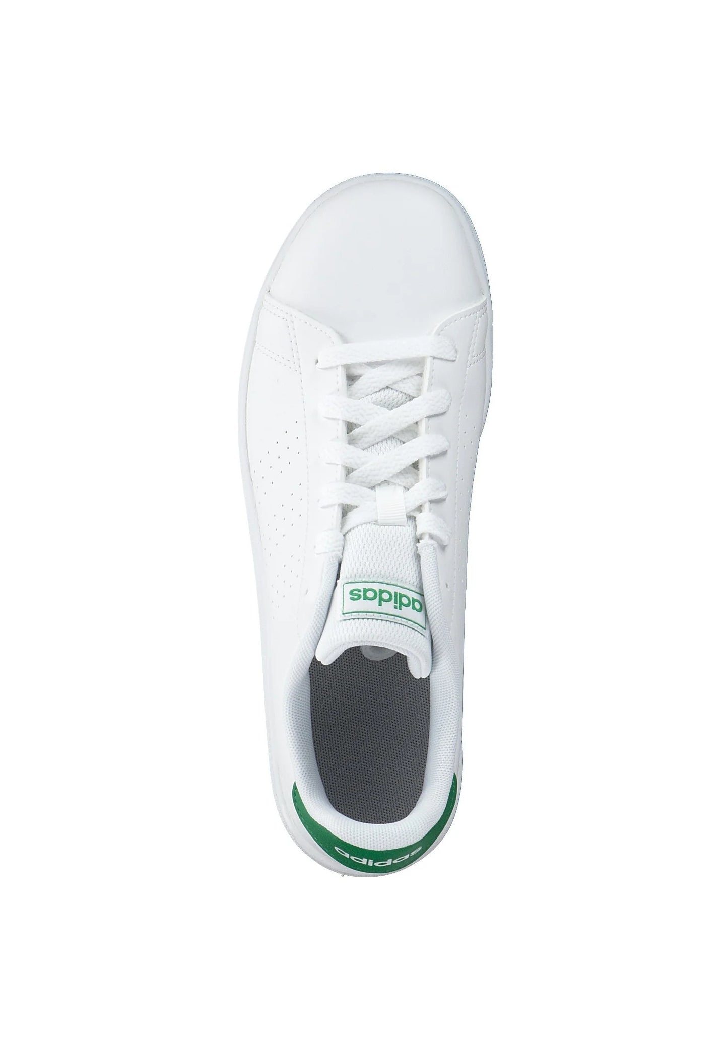 Advantage K GY6995