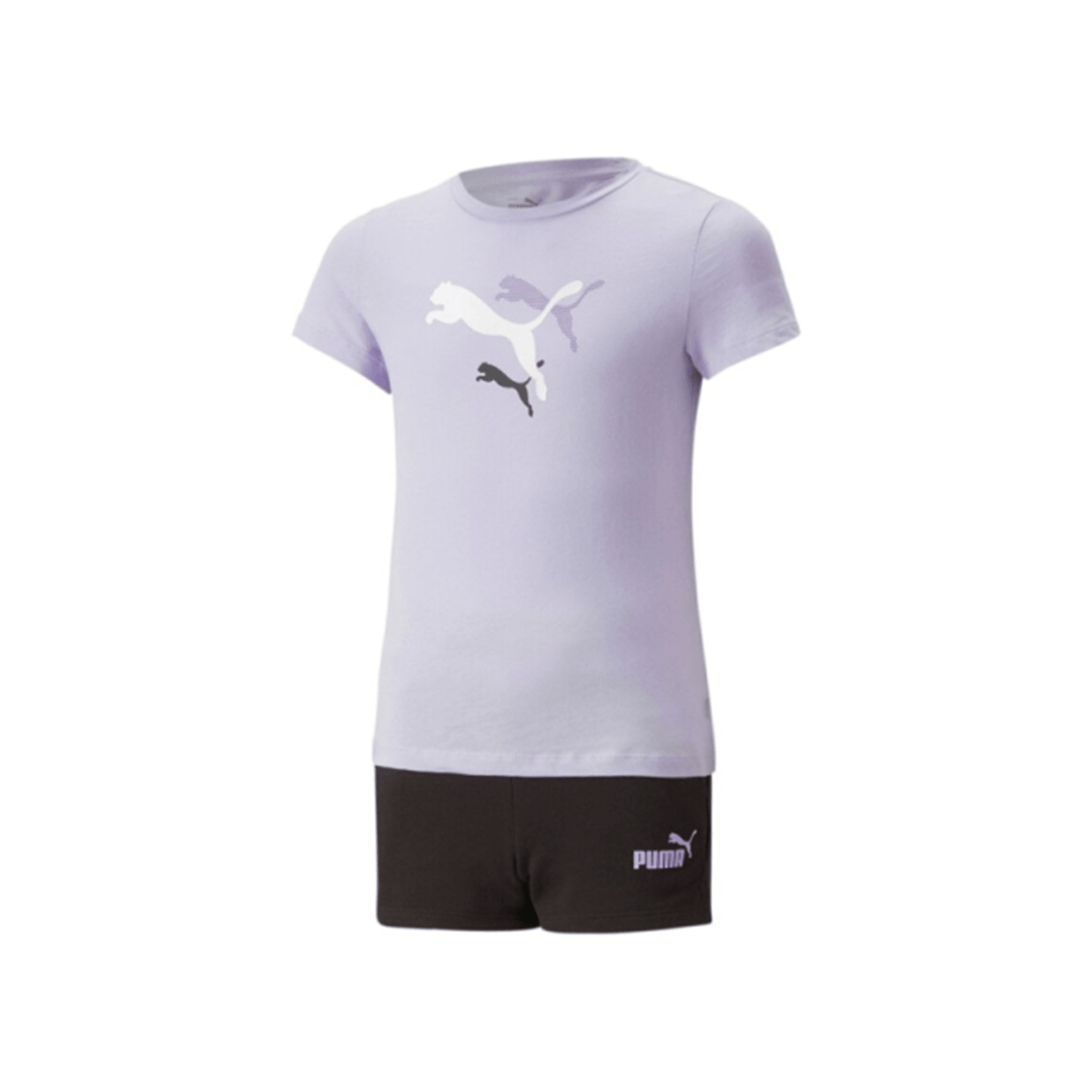 Completo puma