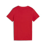 t-shirt puma