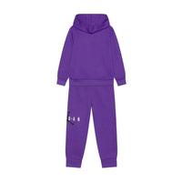 JORDAN SUSTAINBLE  HOODIE SET PURPLE