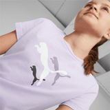 Completo puma