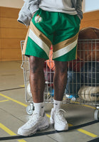 NBA BOSTON CELTICS PANEL SHORT - Squadra - green