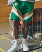 NBA BOSTON CELTICS PANEL SHORT - Squadra - green
