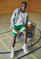 NBA BOSTON CELTICS PANEL SHORT - Squadra - green