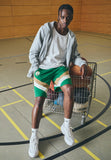 NBA BOSTON CELTICS PANEL SHORT - Squadra - green