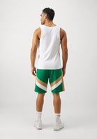 NBA BOSTON CELTICS PANEL SHORT - Squadra - green