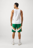 NBA BOSTON CELTICS PANEL SHORT - Squadra - green
